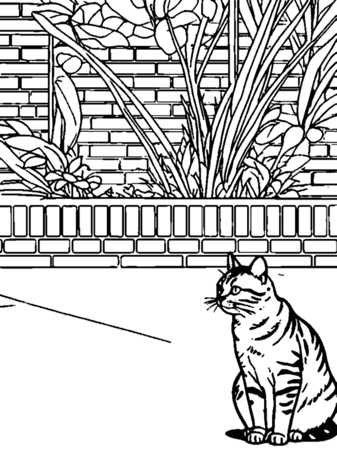 Coloring page made from the photo: cat in front of a brick wall